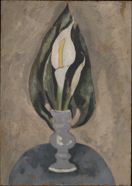 image de la Galerie