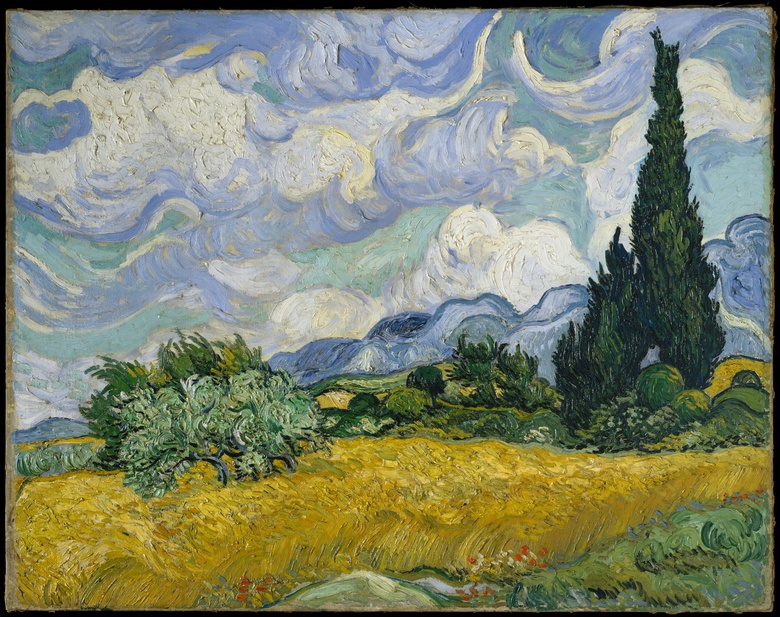 Galerie-Bild